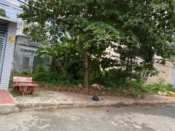 BÁN 3 NỀN LIỀN KỀ KHU VƯỢT LŨ PHƯỜNG 8 NAY LÀ PHƯỜNG TÂN HẠNH, VĨNH LONG