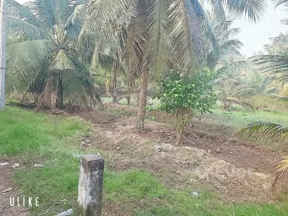 TTC 
 BÁN  ĐẤT SƠN ĐÔNG. BẾN TRE 
Dt : 1997m2 ( 33 *59)Nở Hậu
Đường xe hơi THÔNG 
Cách Lộ Nhựa 100m. - 1,8 tỷ - 1997m²