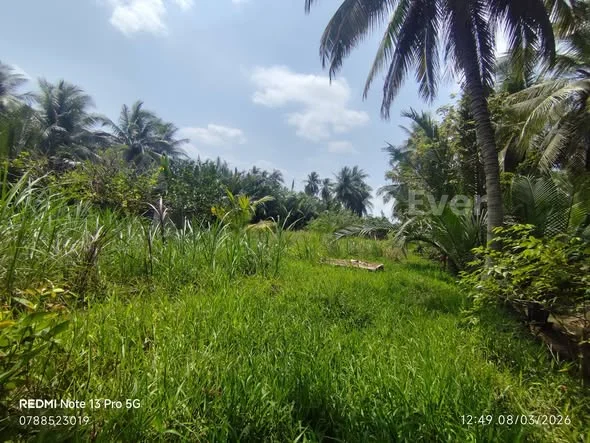 Xã Định Thủy Mỏ Cày Nam Cần bán đất diện tích 1.424,7m² giá 990tr đường xe 4chỗ quy hoạch mở lộ 8m