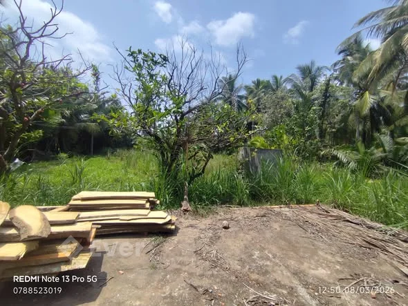 Xã Định Thủy Mỏ Cày Nam Cần bán đất diện tích 1.424,7m² giá 990tr đường xe 4chỗ quy hoạch mở lộ 8m