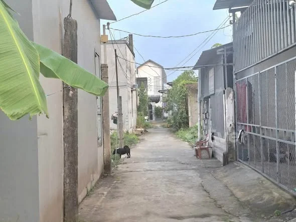 Ảnh bất động sản