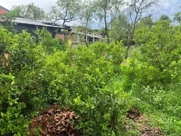 TTC – VĨNH BÌNH, CHỢ LÁCH (BẾN TRE) Diện tích: 212,4 m² (thổ cư, sử dụng lâu dài)