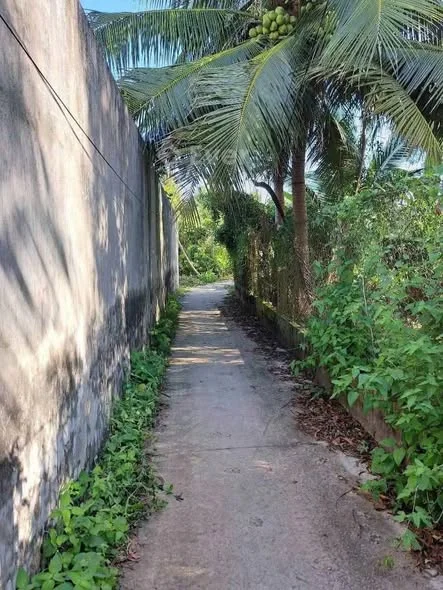 TTC ...nền an hiệp châu thành _ Cách ql57c tầm 60m _ đường đan 2 m tới đất _ DT : 176m , thổ 50m