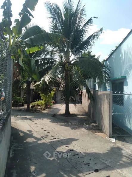 TTC NHÀ MỸ THẠNH – GIỒNG TRÔM – BẾN TRE Cách chợ Mỹ Lồng ~100m, tiện sinh hoạt