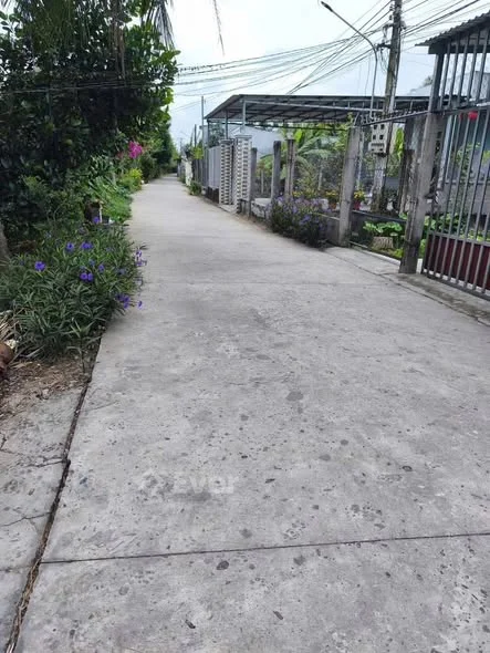 Nền Biệt Thự mặt tiền đường lộ Cơ Khí ( Sơn Đông)Diện tích: 589m có 50 thổ cư