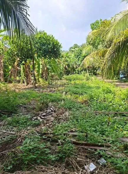 TtcGIẢM GIÁ CHỈ CÒN 590 TRIỆU. CÒN BỚT LỘC!Đất nền góc 2 mặt tiền hẻm xe hoa lâm. XÃ QUỚI SƠN