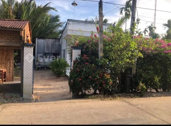 Bán nhà mặt tiền đường oto, ấp Xẻo Nhỏ, xã Lương Phú, Giồng Trôm, Bến Tre- Lộ xe hơi 3,5 m