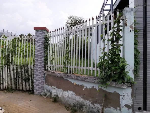 Mỹ Thạnh An Bến TreCách Đường Nguyễn văn Nguyễn Hẽm Cháo Má Heo 70m Diện tích : 279m thổ cư toàn bộ