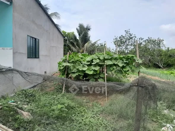 Bán nền 5*20m có 50mv thổ thuộc xã Phú Thuận, Vĩnh Long (Long Định ,Bình Đại, Bến Tre)