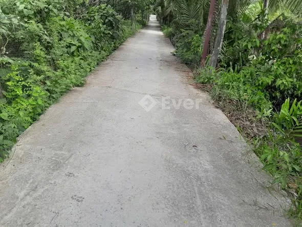 Bán nền 5*20m có 50mv thổ thuộc xã Phú Thuận, Vĩnh Long (Long Định ,Bình Đại, Bến Tre)