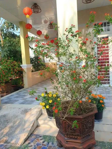 Ảnh bất động sản