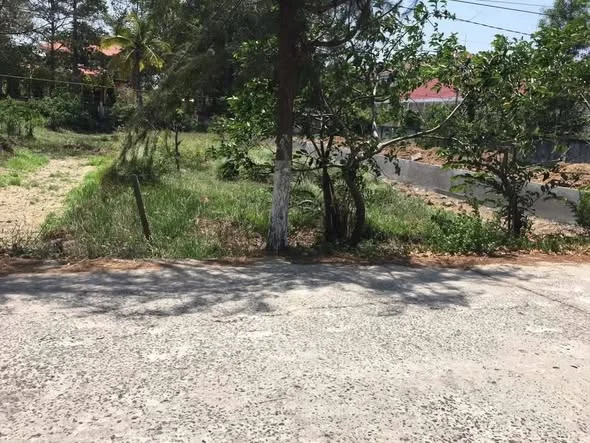 Ảnh bất động sản