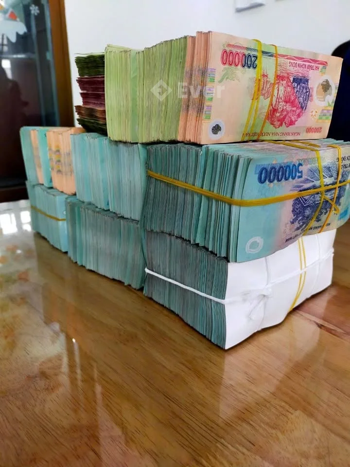 Ảnh đại diện Cô Năm Tây Đô