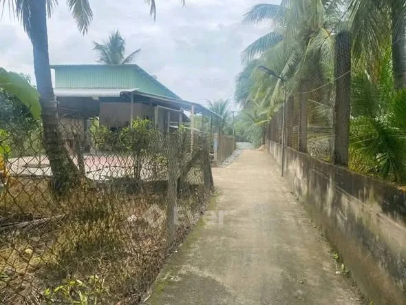 𝐁𝐚́𝐧 𝐯𝐚̀𝐢 𝐧𝐞̂̀𝐧 𝐩𝐡𝐮̛𝐨̛̀𝐧𝐠 𝐌𝐲̃ 𝐏𝐡𝐨𝐧𝐠 𝐠𝐢𝐚́𝐩 𝐏𝟗 (tân mỹ chánh cũ)