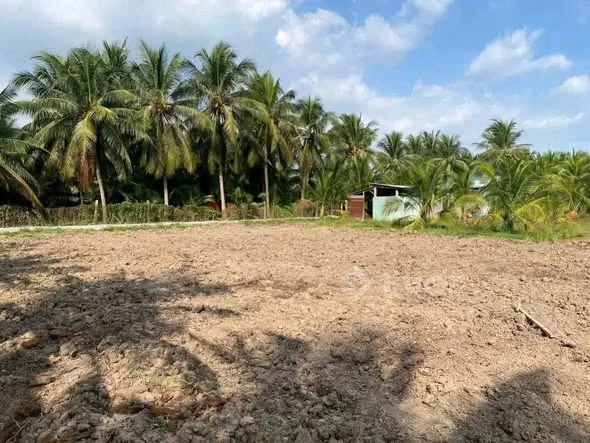 𝐁𝐚́𝐧 𝐯𝐚̀𝐢 𝐧𝐞̂̀𝐧 𝐩𝐡𝐮̛𝐨̛̀𝐧𝐠 𝐌𝐲̃ 𝐏𝐡𝐨𝐧𝐠 𝐠𝐢𝐚́𝐩 𝐏𝟗 (tân mỹ chánh cũ)