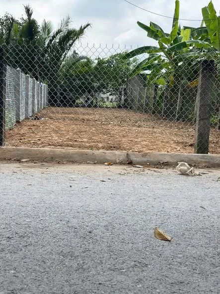 Đất đẹp mặt tiền Trần Văn Hiển, Phường Trung An, ĐT (P10 cũ)Hướng Bắc