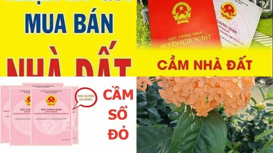 Ảnh đại diện