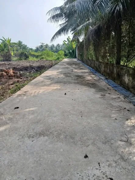 Phường Mỹ Phong . Gần nhà Hàng Lộc Anh đường 86C ,Tân My Chánh cũ Đất FO bao đẹp