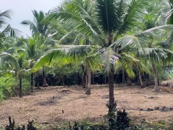 TTC — BÁN ĐẤT MẶT TIỀN ĐƯỜNG 173 MỚI (TL883) — Đối diện Uỷ ban phường Phú Tân mới