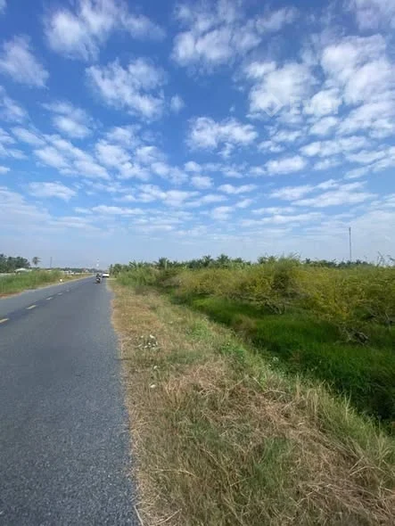 BÁN ĐẤT MẶT TIỀN ĐƯỜNG DẪN CẦU RẠCH MIỄU 2 – CHỐT TRƯỚC TẾT Vị trí: Phường Phú Tân (Bình Phú cũ)