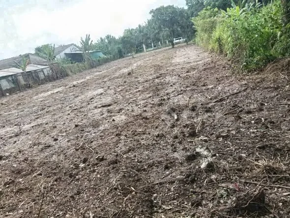 CẦN bán 20m ngang đất 2 mặt tiền nhựa Mậu Thân nối dài.