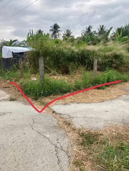 Chủ cần bán đất phú hoà phường long đức Đường đan ôtô Dt :5m *27m full (133 m2 ) tất cả thổ cư