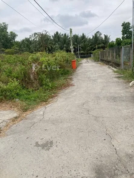 Chủ cần bán đất phú hoà phường long đức Đường đan ôtô Dt :5m *27m full (133 m2 ) tất cả thổ cư