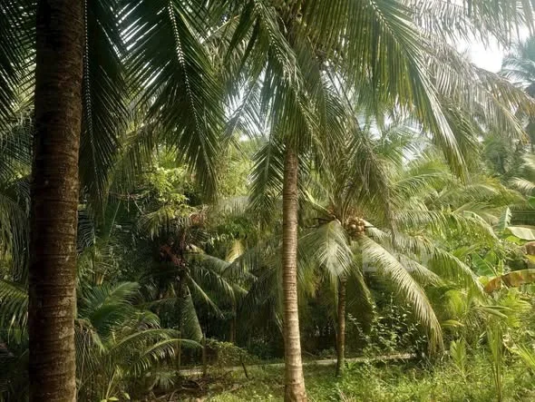 Ảnh bất động sản