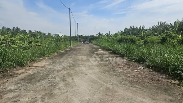 Đất hướng NamKhu phố Mỹ Hòa phường Mỹ PhongÔ tô 7 chỗ tới đất cách huyện 90A tầm 400m