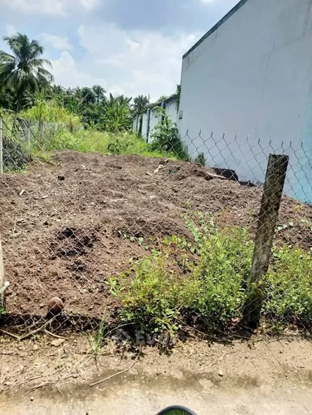 TTC HẠ GIÁ: 999 triệuBán đất nền xã Tân Thạch châu Thành bến tre( Nay tỉnh Vĩnh Long)