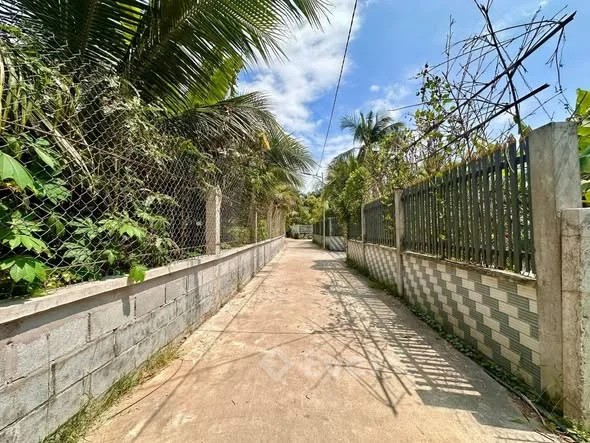 BÁN NỀN PHƯỜNG 10- GẦN ĐƯỜNG NGUYỄN TỬ VÂN Vị trí cách đường nhựa 200m