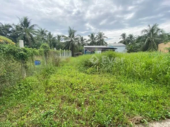 Địa chỉ: đông hoà, song thuận, châu thành cũ Diện tích: 5m × 17,6 = 87,8m2 • đất trồng cây lâu năm