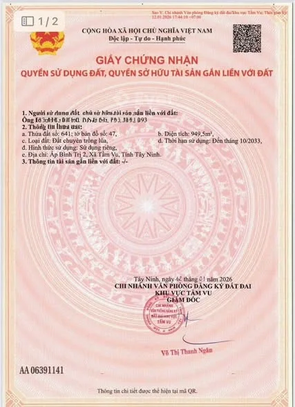 Bán 1100mv đất lúa có sẵn ( 6x25mv = 150mv ) thổ cư đường Đan 2,5m cách nhựa Nguyễn thông 200m