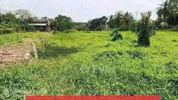 Chủ gởi bán 2 lô đất thổ cư, mặt tiền đường Quách Văn Tuấn, Phường 5, Tp Tân An, Long An - 1,28 tỷ - 160m²