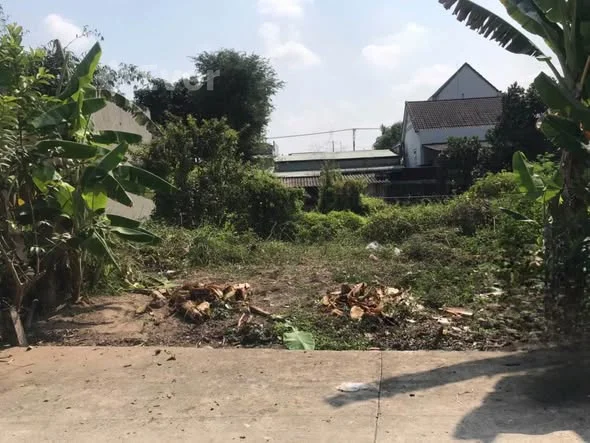 Cần bán đất thổ xã An vĩnh ngãi. Tp Tân an. Long an ( nay là phường Tân an. Tây ninh) - 770 triệu - 115m²