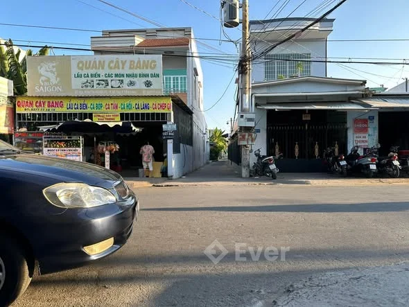 Bán đất thổ cư 100m2 tại Đồng Tháp