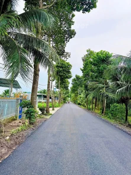 Đ𝐀̂́𝐓 𝐌𝐀̣̆𝐓 𝐓𝐈𝐄̂̀𝐍 Đ𝐔̛𝐎̛̀𝐍𝐆 𝐍𝐇𝐔̛̣𝐀 𝐓𝐑𝐀̂̀𝐍 𝐓𝐇𝐈̣ 𝐓𝐇𝐎̛𝐌 Phường Mỹ Phong