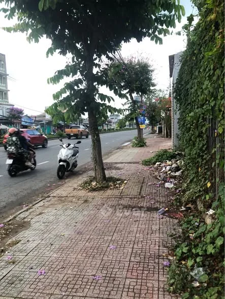 Chào bán nền đất Mặt tiền đường nhựa đường Nguyễn Thị Thập(Ql60)P6(Phường Thới Sơn)