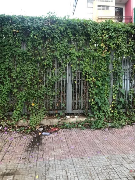 Chào bán nền đất Mặt tiền đường nhựa đường Nguyễn Thị Thập(Ql60)P6(Phường Thới Sơn)