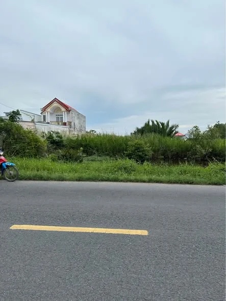 Bán đất Quốc Lộ 1A xéo uỷ ban xã Thạnh Phú - Cái Nước cũ, gần chợ Nhà PhấnDiện tích:4,5*68=308m2,