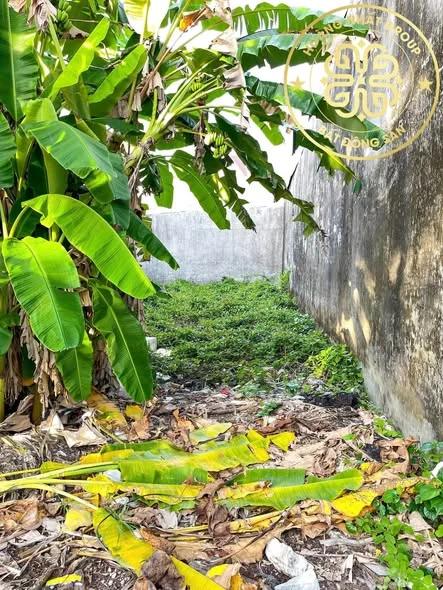 NỀN ĐẸP ĐƯỜNG PHAN XÍCH LONG, KĐT TÀI LỘC – GẦN TRƯỜNG, VIEW THOÁNG MÁT - Thỏa thuận - 99m²