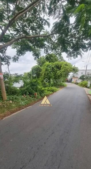 ĐẤT VƯỜN ĐẸP NGAY TRUNG TÂM TP CÀ MAU Mặt tiền đường Nguyễn Văn Lang, cách cầu Cái Nhúc 100m