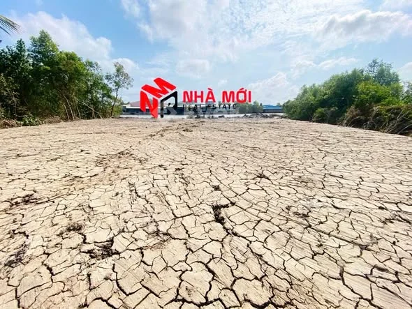 BÁN NỀN 2 MẶT TIỀN GẦN CÔNG TY MINH PHÚKhóm Thạnh Điền – P. Lý Văn Lâm