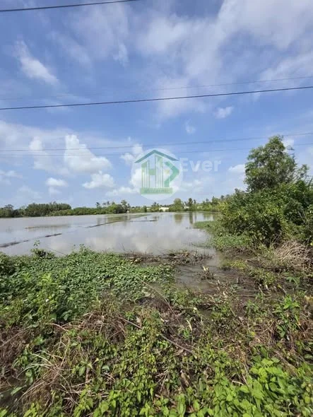 ĐẤT QUẢN LỘ PHỤNG HIỆP 68 triệu/ m ngangDiện tích: 15m x 66m ( trên sổ), thực tế 15m x 76m