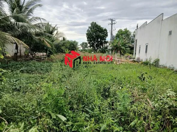 BÁN ĐẤT VƯỜN CÓ THỔ CƯ – P. AN XUYÊN, CÀ MAU Diện tích: 557m² (12m × 46,4m)