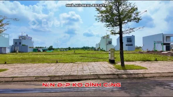 Ảnh đại diện Phượng Lê