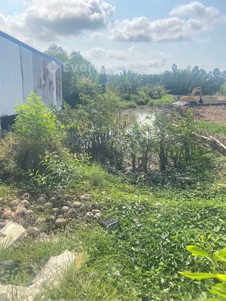 MS : 04-2026 Bán nền gần UBND xã Khánh Lâm ( mới ), tỉnh Cà Mau ( xã Khánh Hội củ)