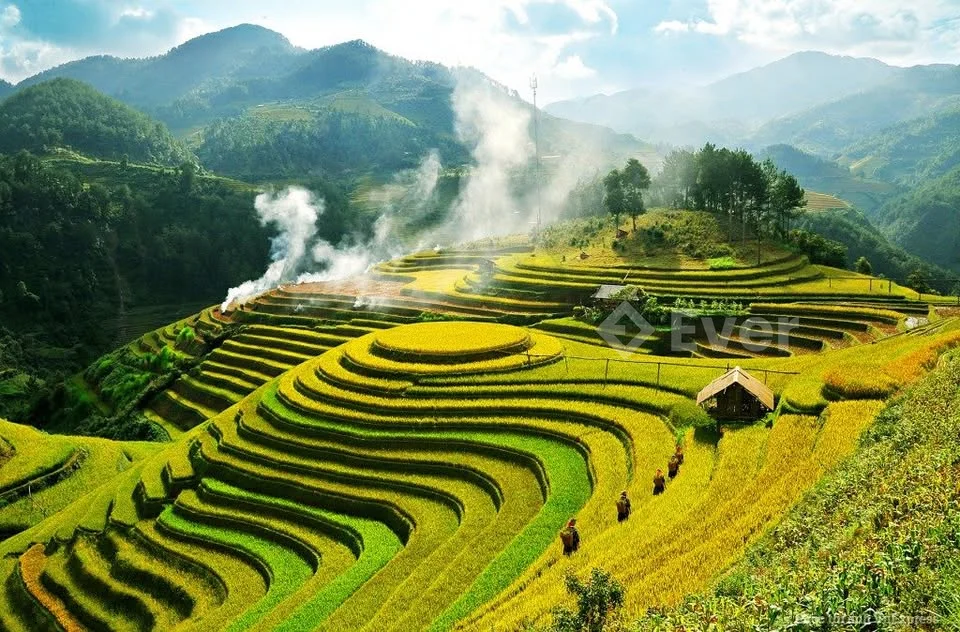 Ảnh đại diện Trần Thanh Minh