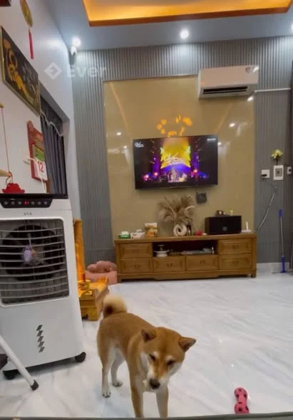 SP19 : Bán Nhà 2 Mặt Tiền ( Sau Lưng Bến Xe Rạch Sỏi ) - Đường Nguyễn Văn Nhị - P. Rạch Sỏi