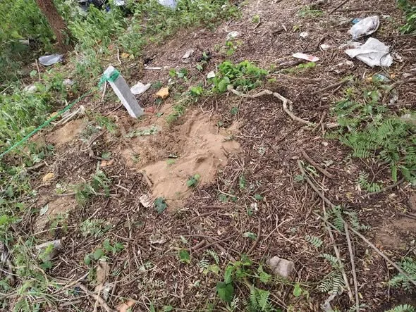 Giá : 950triệu Đường số 5 TTTM Núi Sam, phường Vĩnh tế. Diện tích : 4,5m x 18m (full thổ cư)